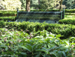 Volkspark
